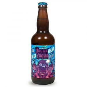 Cerveja Hocus Pocus Interstellar - 500ml